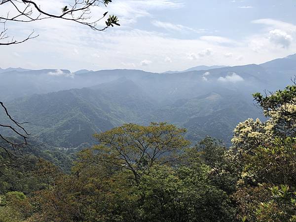 IMG_1362.JPEG IMG_1362.JPEG