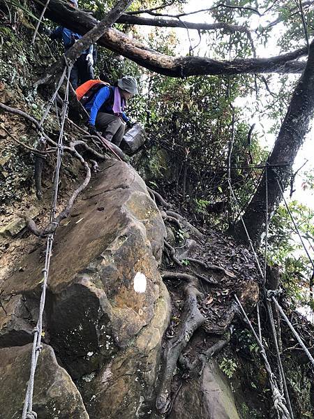 IMG_1356.JPEG IMG_1356.JPEG