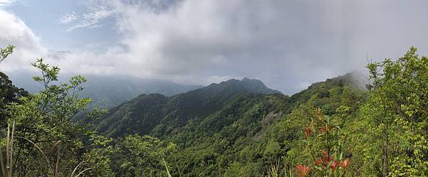 IMG_1355.JPEG IMG_1355.JPEG