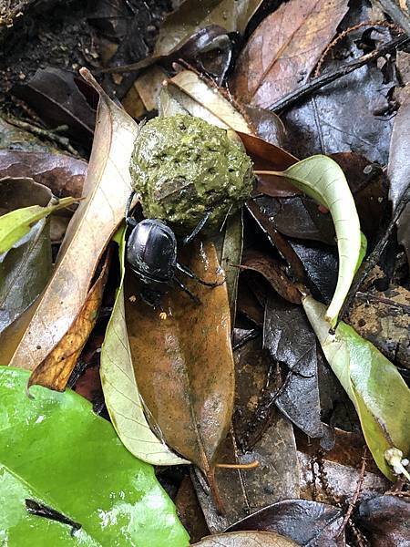 IMG_1402.JPEG IMG_1402.JPEG