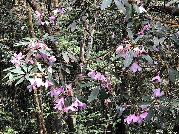 IMG_1409.JPEG IMG_1409.JPEG