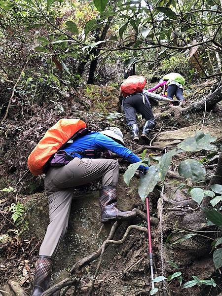 IMG_1407.JPEG IMG_1407.JPEG