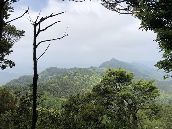 IMG_1414.JPEG IMG_1414.JPEG