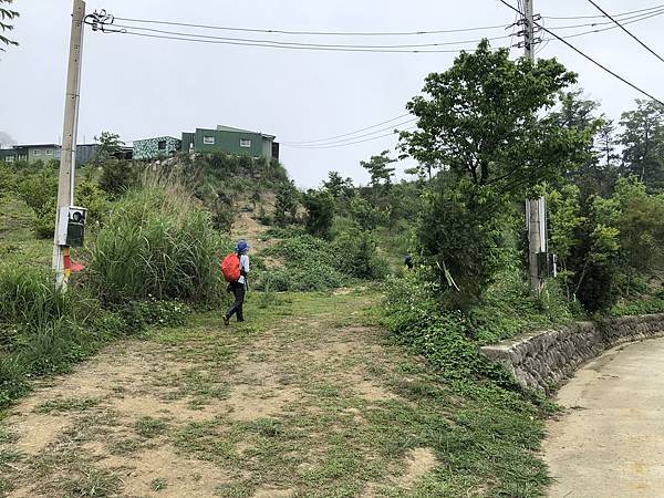 IMG_1434.JPEG IMG_1434.JPEG