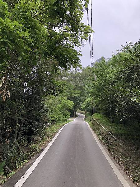 IMG_1461.JPEG IMG_1461.JPEG