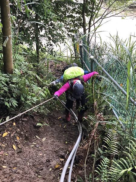 IMG_1455.JPEG IMG_1455.JPEG