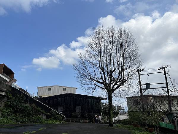 IMG_6208.JPEG IMG_6208.JPEG