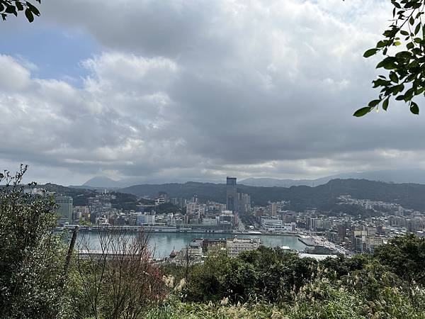 IMG_6228.JPEG IMG_6228.JPEG