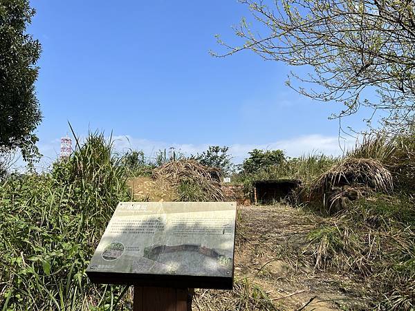 IMG_6229.JPEG IMG_6229.JPEG