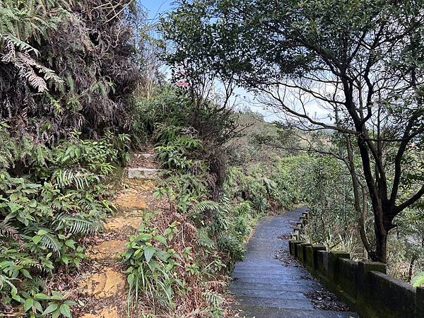 IMG_6240.JPEG IMG_6240.JPEG