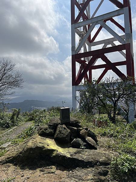 IMG_6256.JPEG IMG_6256.JPEG