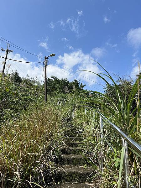 IMG_6281.JPEG IMG_6281.JPEG