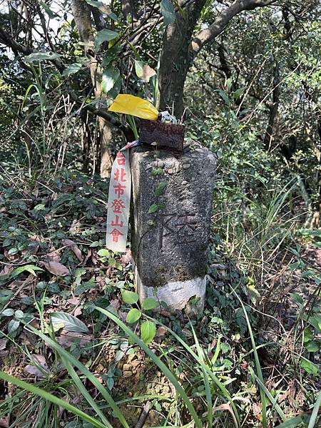 IMG_6284.JPEG IMG_6284.JPEG