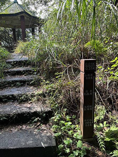 IMG_6285.JPEG IMG_6285.JPEG