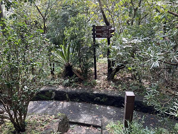 IMG_6292.JPEG IMG_6292.JPEG