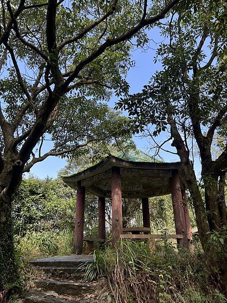 IMG_6293.JPEG IMG_6293.JPEG