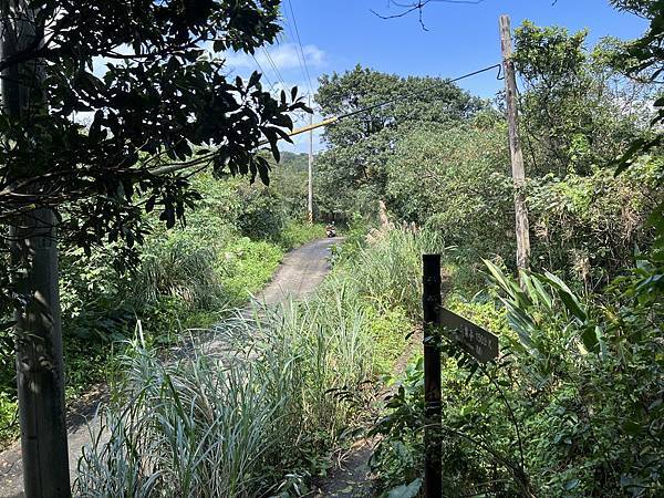 IMG_6297.JPEG IMG_6297.JPEG