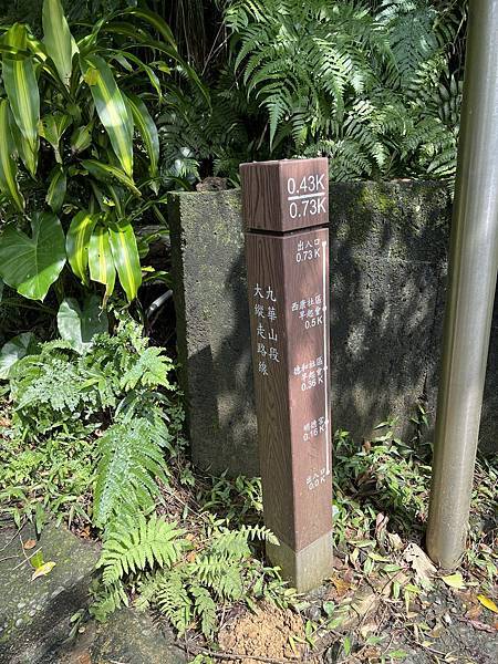 IMG_6305.JPEG IMG_6305.JPEG