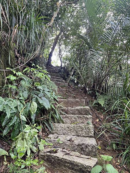 IMG_6310.JPEG IMG_6310.JPEG