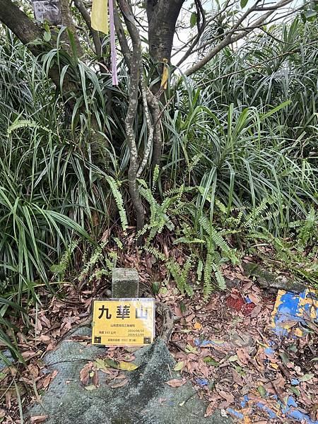 IMG_6312.JPEG IMG_6312.JPEG