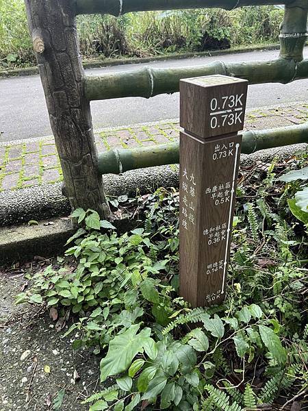 IMG_6316.JPEG IMG_6316.JPEG