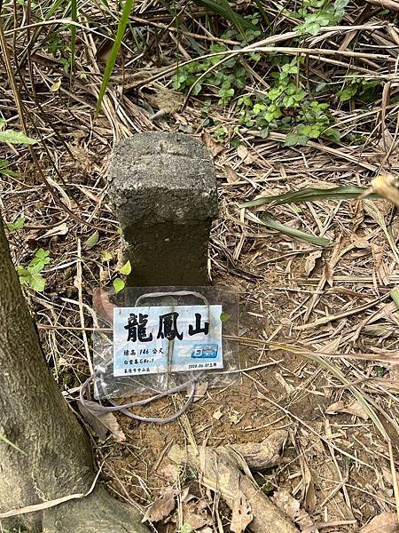 IMG_6318.JPEG IMG_6318.JPEG