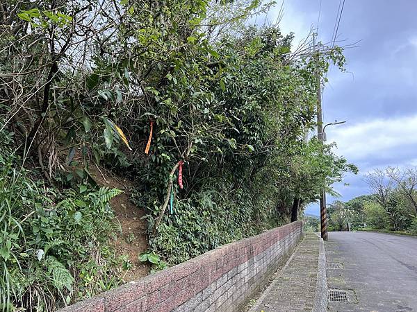 IMG_6317.JPEG IMG_6317.JPEG