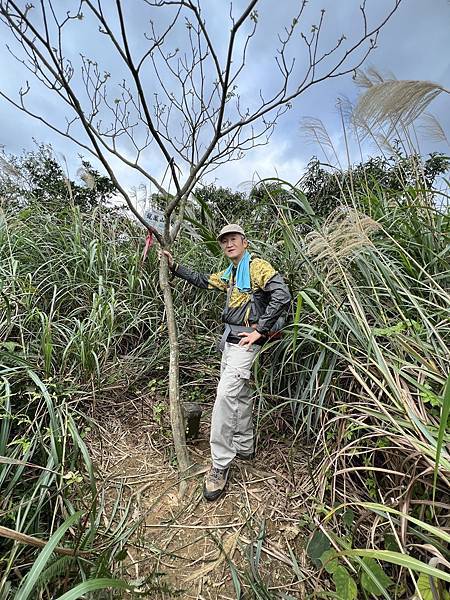 IMG_6320.JPEG IMG_6320.JPEG