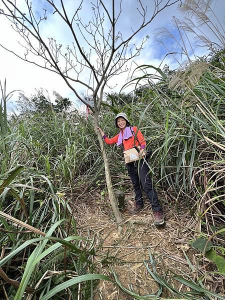 IMG_6322.JPEG IMG_6322.JPEG