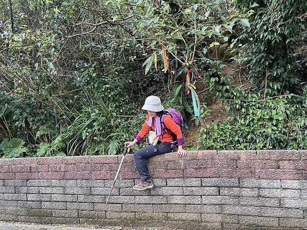 IMG_6330.JPEG IMG_6330.JPEG