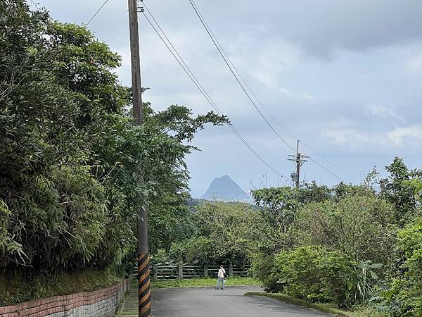 IMG_6334.JPEG IMG_6334.JPEG