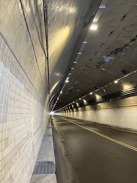 IMG_6380.JPEG IMG_6380.JPEG