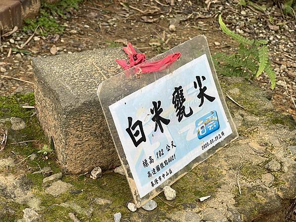 IMG_6430.JPEG IMG_6430.JPEG