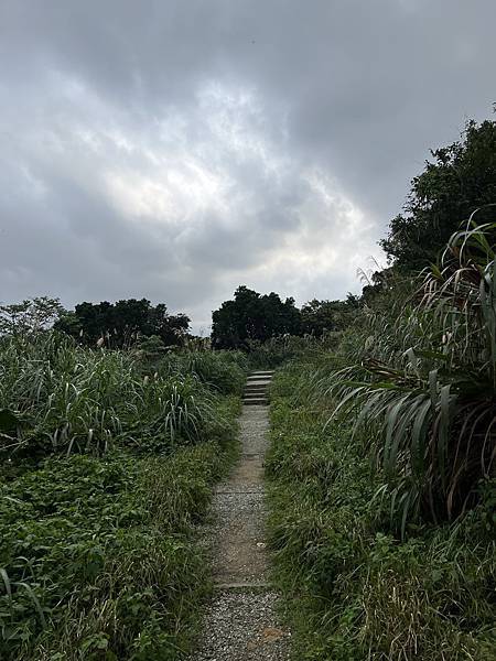 IMG_6428.JPEG IMG_6428.JPEG