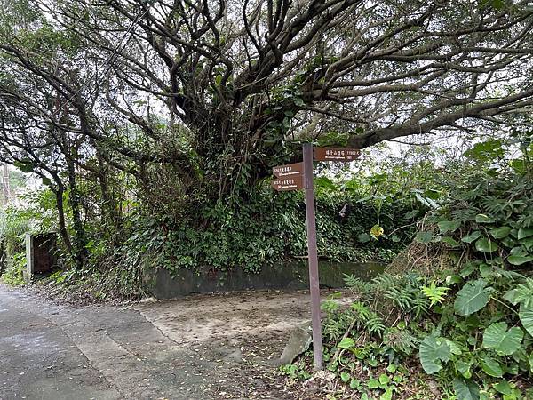 IMG_6467.JPEG IMG_6467.JPEG