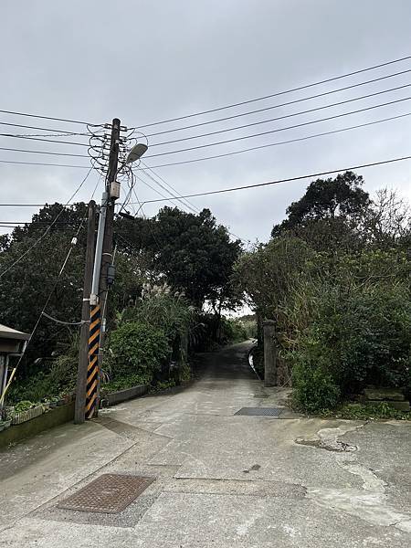 IMG_6460.JPEG IMG_6460.JPEG