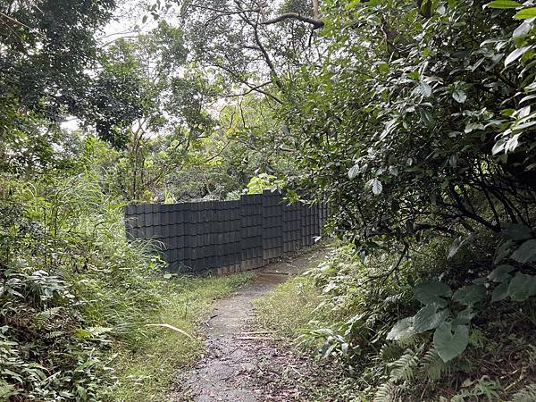 IMG_6464.JPEG IMG_6464.JPEG