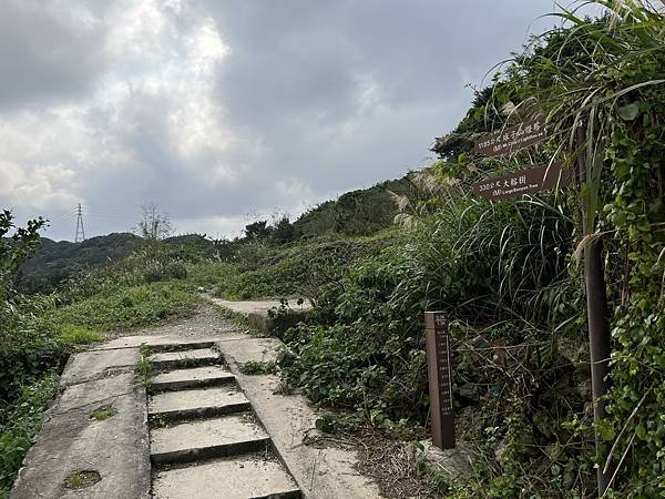 IMG_6471.JPEG IMG_6471.JPEG