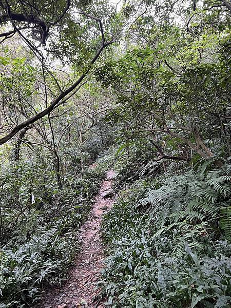 IMG_6483.JPEG IMG_6483.JPEG