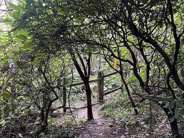 IMG_6485.JPEG IMG_6485.JPEG