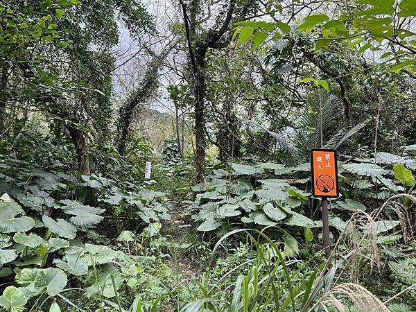 IMG_6479.JPEG IMG_6479.JPEG