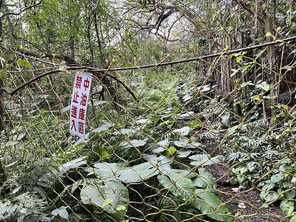 IMG_6486.JPEG IMG_6486.JPEG