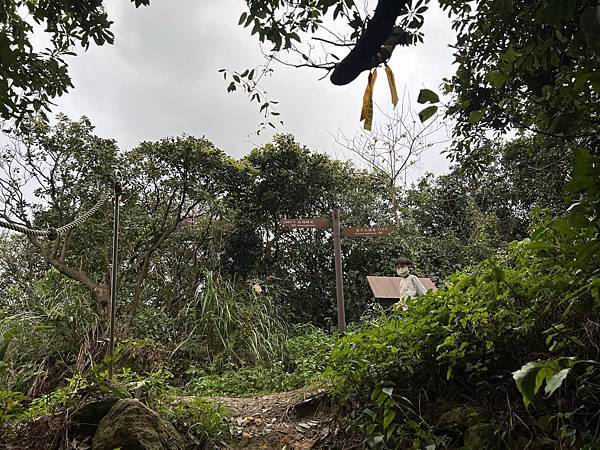 IMG_6493.JPEG IMG_6493.JPEG