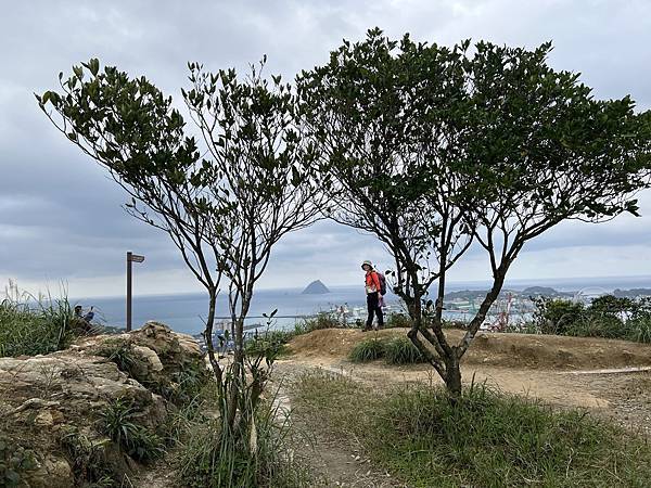 IMG_6503.JPEG IMG_6503.JPEG