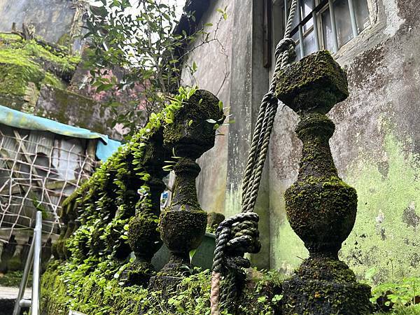 IMG_6524.JPEG IMG_6524.JPEG