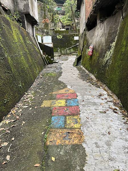 IMG_6527.JPEG IMG_6527.JPEG