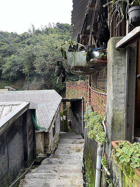 IMG_6521.JPEG IMG_6521.JPEG