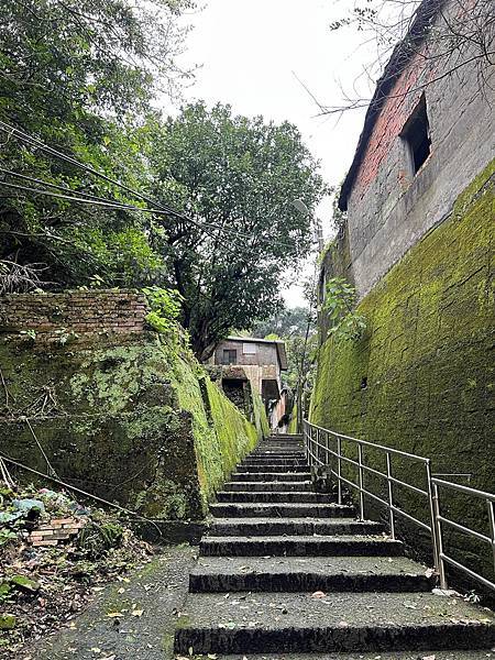 IMG_6531.JPEG IMG_6531.JPEG