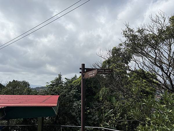 IMG_6236.JPEG IMG_6236.JPEG