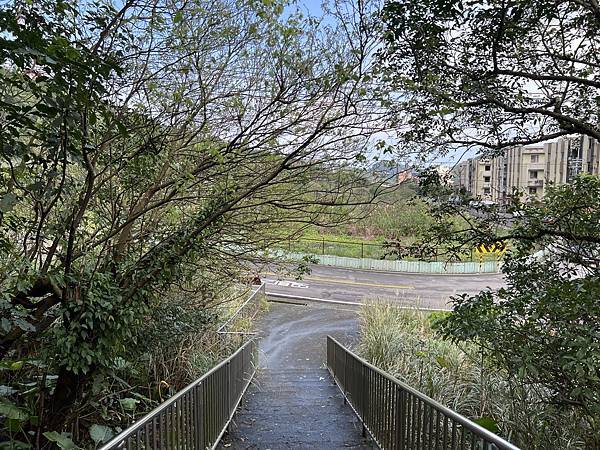 IMG_6242.JPEG IMG_6242.JPEG